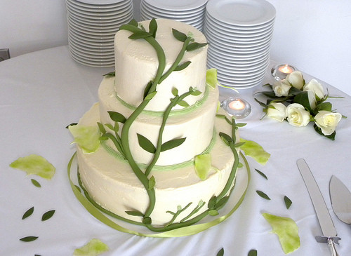 Wedding Cakes Wilmington Nc
 Vegan Wedding Cake Carolina Cakes & Confections Wilmingt