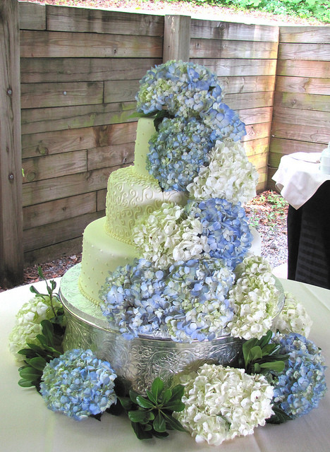 Wedding Cakes With Hydrangeas
 Hydrangea Wedding Cake a photo on Flickriver