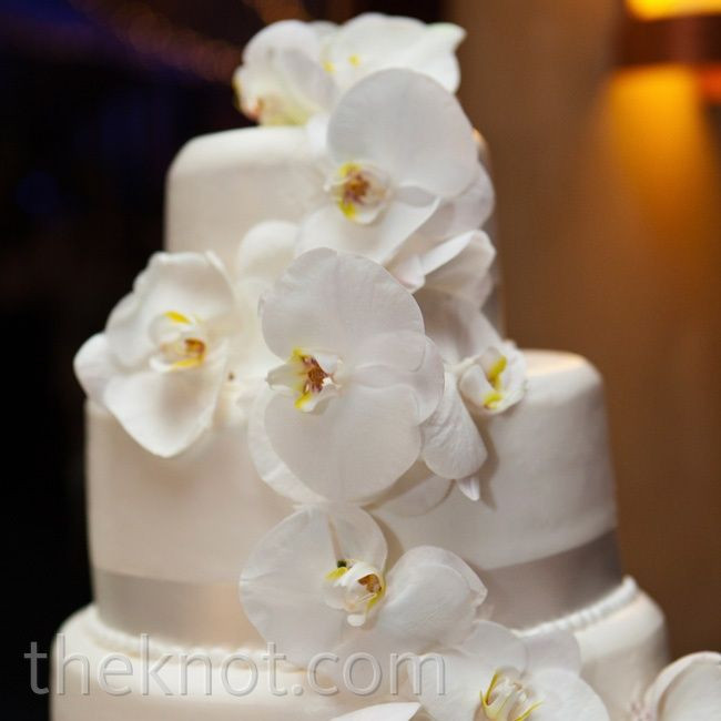 Wedding Cakes With Orchids
 White Orchid Wedding Cake Wedding Cakes