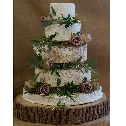 Wedding Cheese Cake
 Grace Cheese Wedding Cake Cheese Wedding Cakes