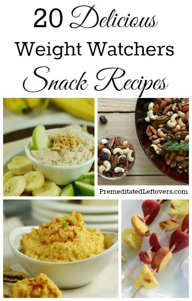 Weight Watchers Healthy Snacks
 20 Weight Watchers Snack Recipes Premeditated Leftovers