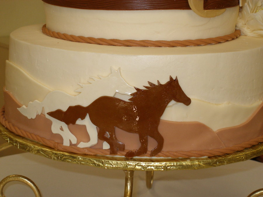 Western Theme Wedding Cakes
 Western Theme Wedding Cake CakeCentral