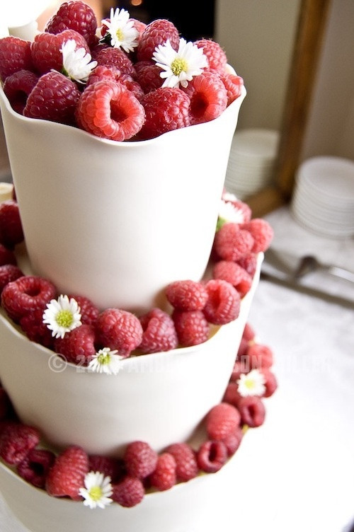 White Chocolate Raspberry Wedding Cake
 White chocolate raspberry wedding cake idea in 2017