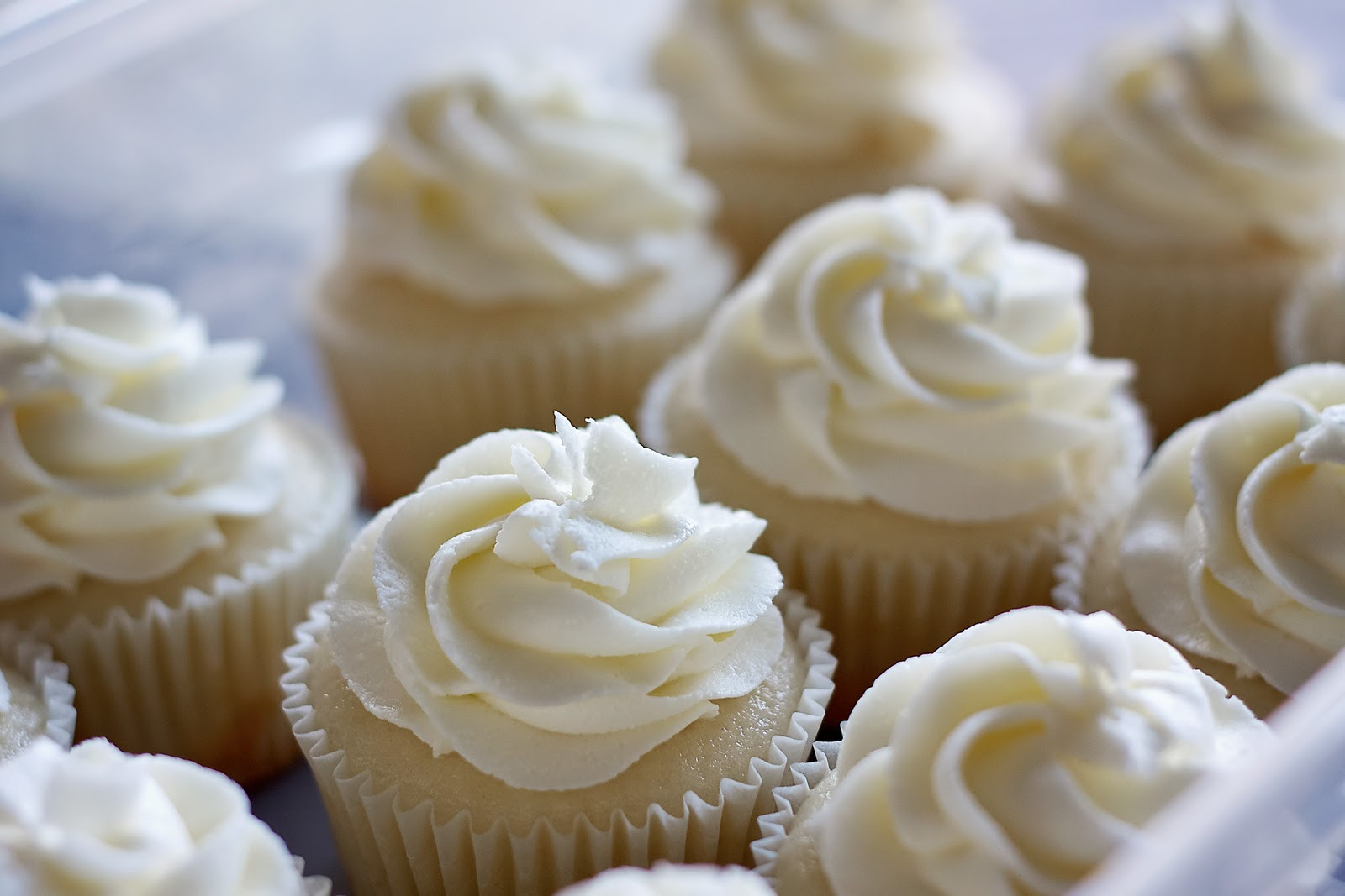 White Wedding Cake Cupcakes
 Simply Cupcakes White Wedding Cake Cupcakes