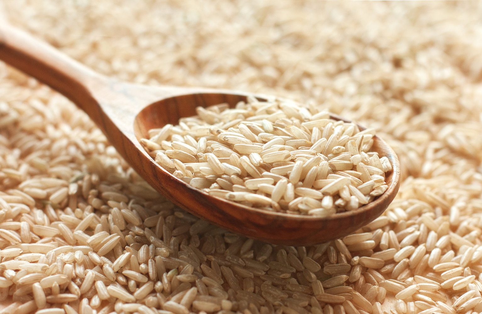 Why Is Brown Rice Healthy
 Brown Rice Health Benefits & Nutrition Facts