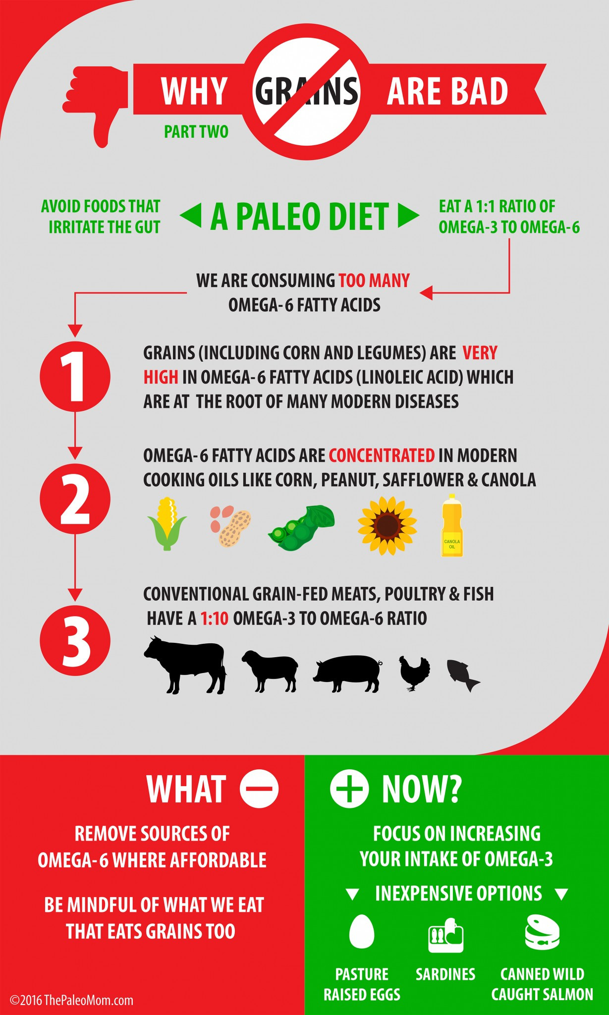 Why Paleo Diet Is Unhealthy
 Why Grains Are Bad Part 2 Omega 3 vs 6 Fats The Paleo Mom