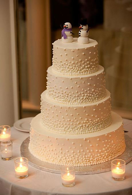 Winter Wedding Cakes
 41 Adorable Winter Wedding Cake Ideas