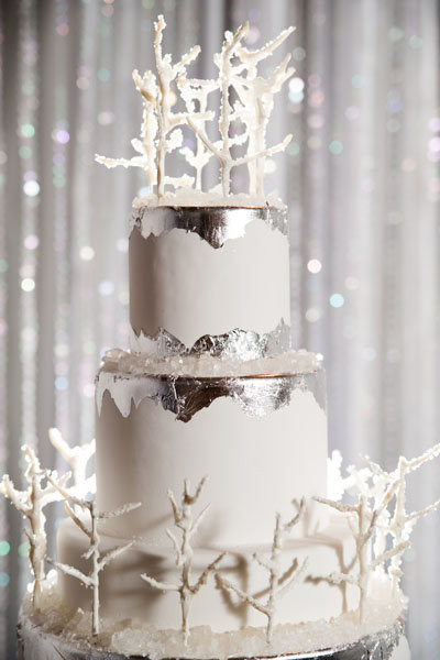 Winter Wonderland Wedding Cakes
 Winter Wonderland Wedding Inspiration