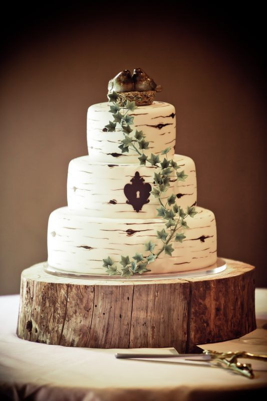 Woodsy Wedding Cakes
 Lumberjack Cake on Pinterest