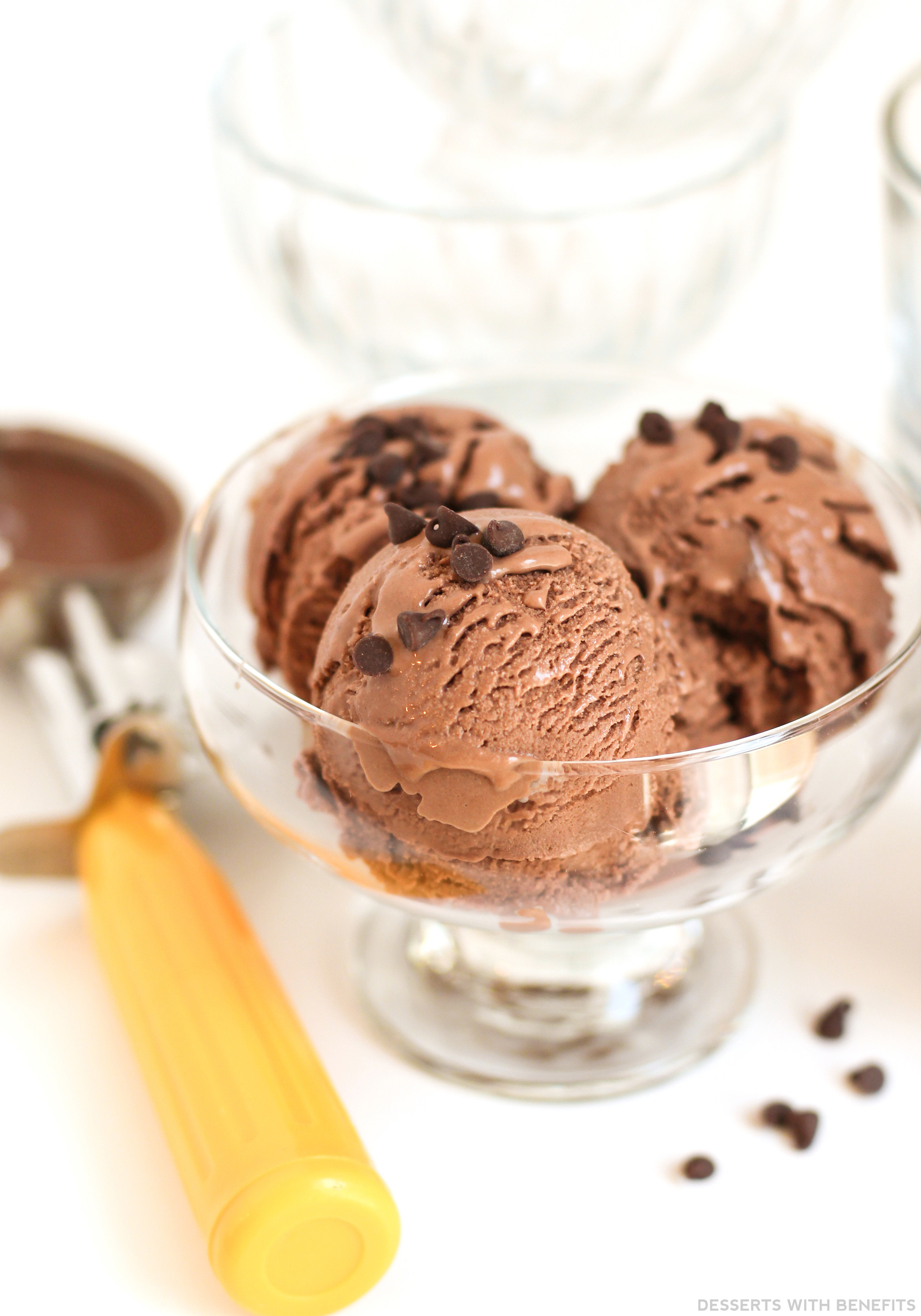 Yogurt Dessert Recipes Healthy
 Healthy Double Chocolate Protein Frozen Yogurt Recipe