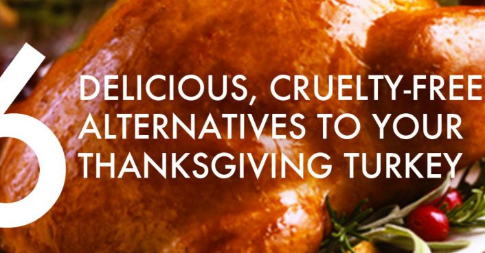 Alternatives To Turkey For Thanksgiving
 6 cruelty free alternatives to a real dead bird for your