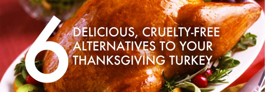 Alternatives To Turkey On Thanksgiving
 Field Roast Grain Meat Inhabitat – Green Design