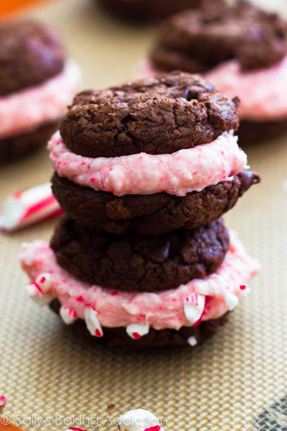 Best Chocolate Christmas Cookies
 11 Best Christmas Cookies Recipe 2016 Creative Sugar