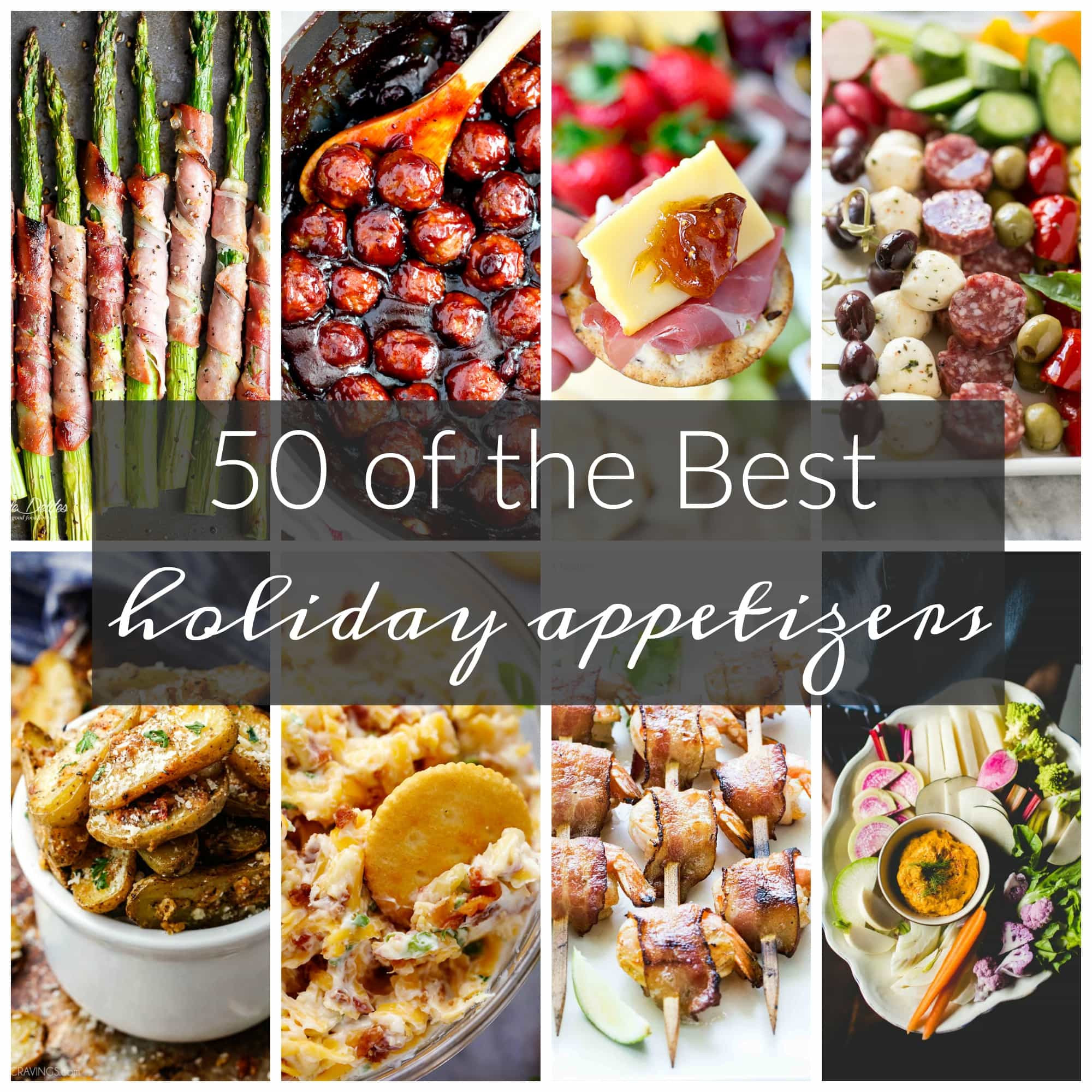 Best Christmas Party Appetizers
 50 of the Best Appetizers for the Holidays A Dash of Sanity