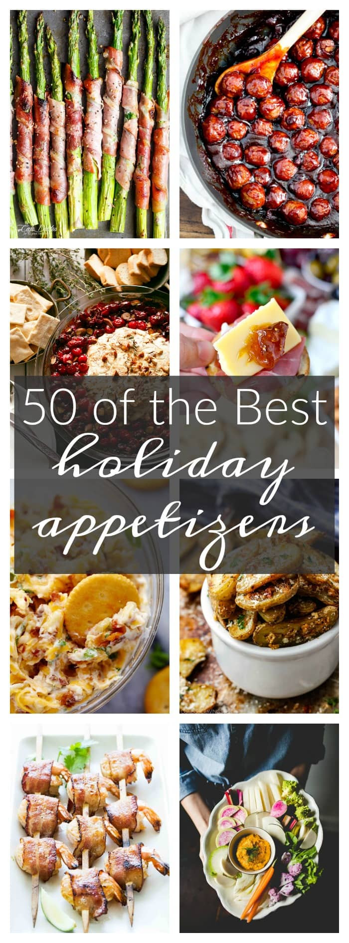 Best Christmas Party Appetizers
 50 of the Best Appetizers for the Holidays A Dash of Sanity