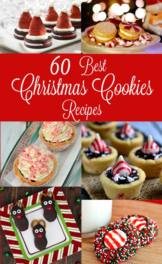 Best Ever Christmas Cookies
 60 Best Christmas Cookies Recipes