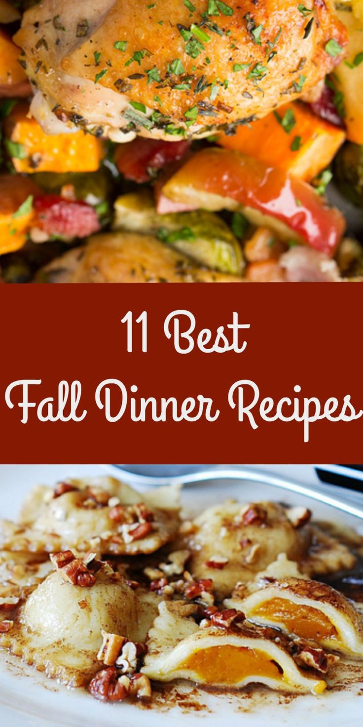 Best Fall Dinner Recipes
 11 Best Mouthwatering Fall Dinner Recipes