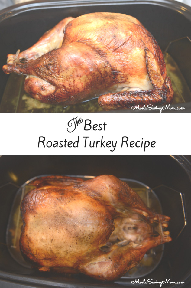 Best Roast Turkey Recipe For Thanksgiving
 Best Roasted Turkey Recipe Moola Saving Mom