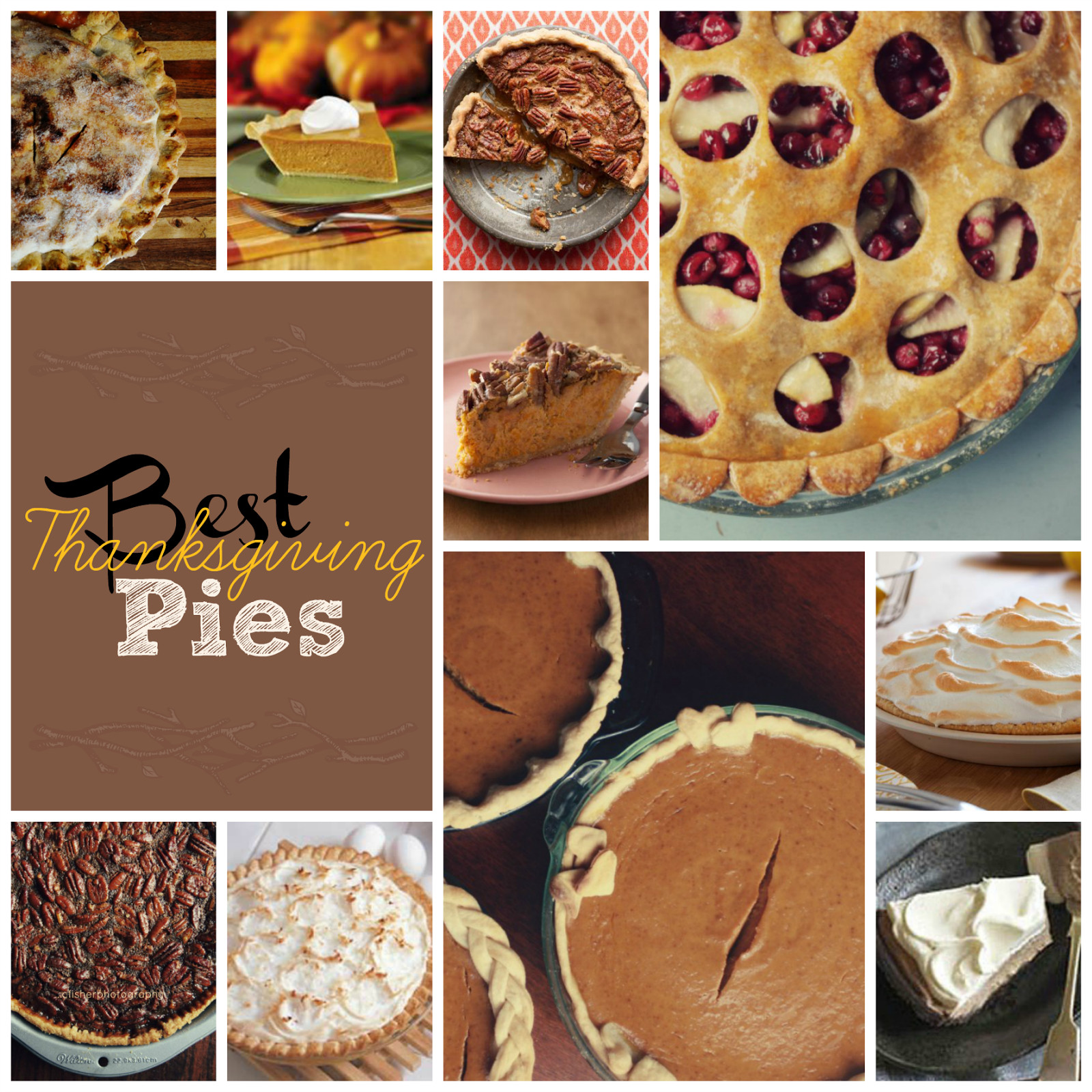 Best Thanksgiving Pies Recipes
 Best Thanksgiving Pies This Girl s Life Blog