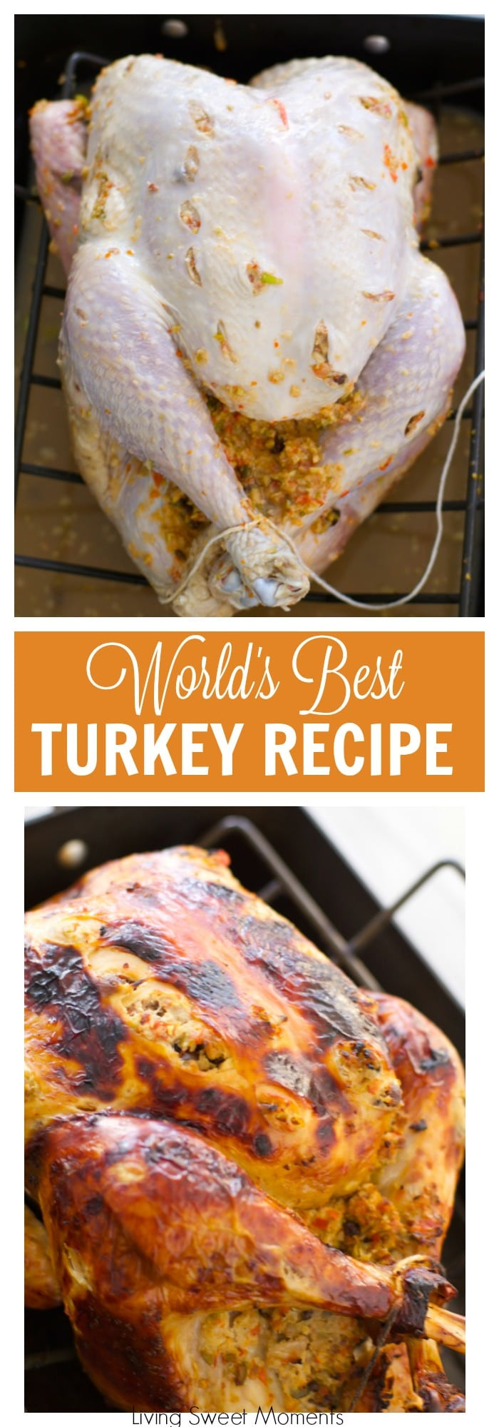 Best Turkey Recipes For Thanksgiving
 The World s Best Turkey Recipe A Tutorial Living Sweet