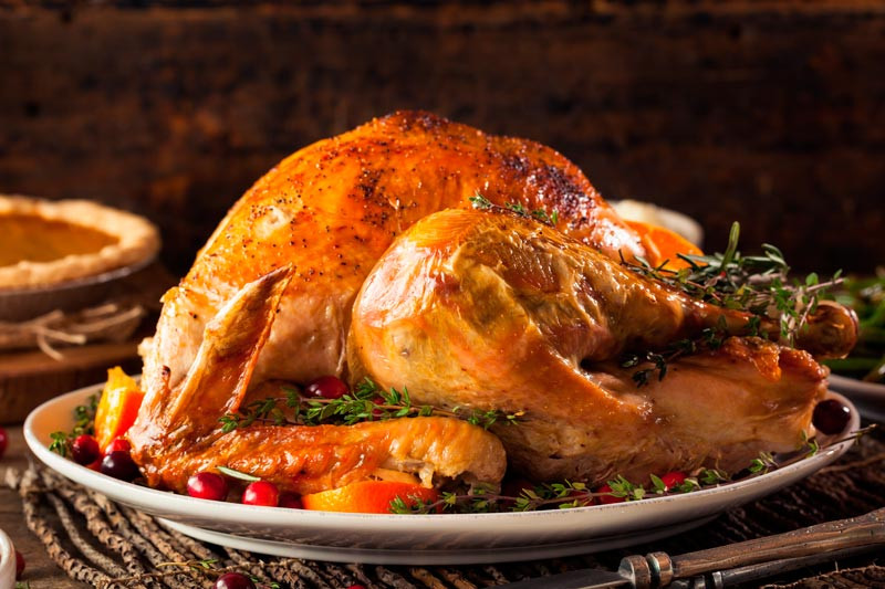 Biggest Thanksgiving Turkey
 Thanksgiving Day Cómo Celebrar el Da de Acción de