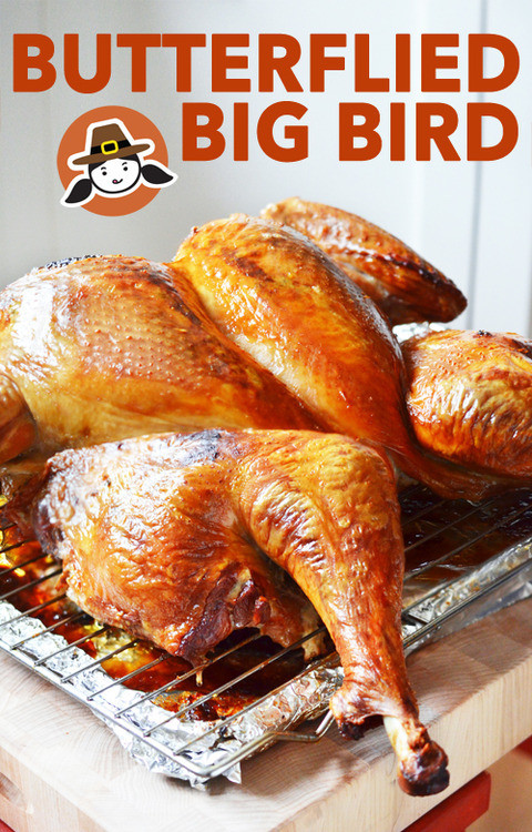 Biggest Thanksgiving Turkey
 Butterflied Big Bird Spatchcocked Turkey Nom Nom Paleo