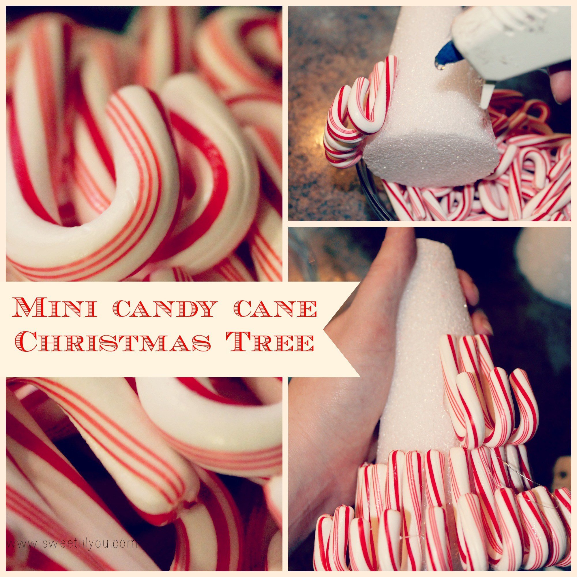 Candy Cane Christmas Shop
 Holiday Entertaining & Decorating with Price Chopper
