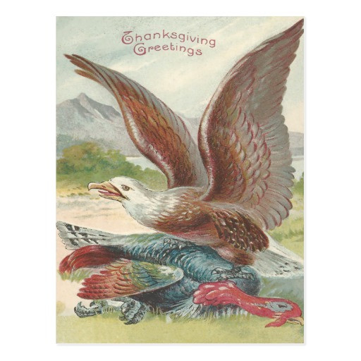 Catching The Thanksgiving Turkey
 Bald Eagle Catching Thanksgiving Turkey Postcard