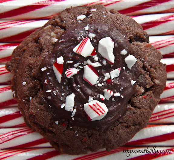 Chocolate Christmas Cookies
 Chocolate Peppermint Kiss Cake Mix Christmas Cookies