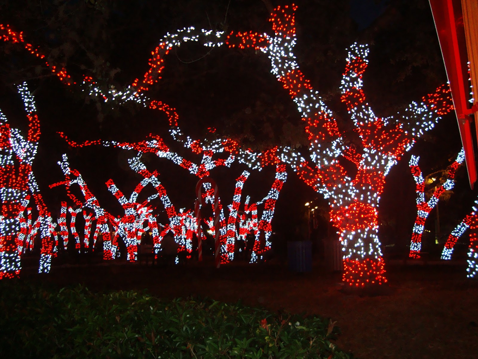 Christmas Candy Cane Lights
 There s Magic Out There SeaWorld San Antonio Christmas