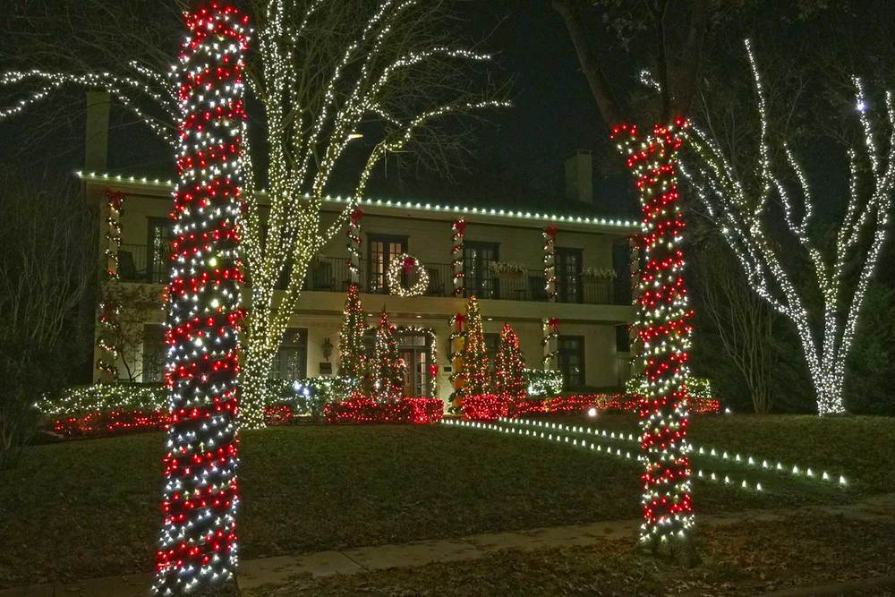 Christmas Candy Cane Lights
 Plants for Dallas Your Source for the Best Landscape