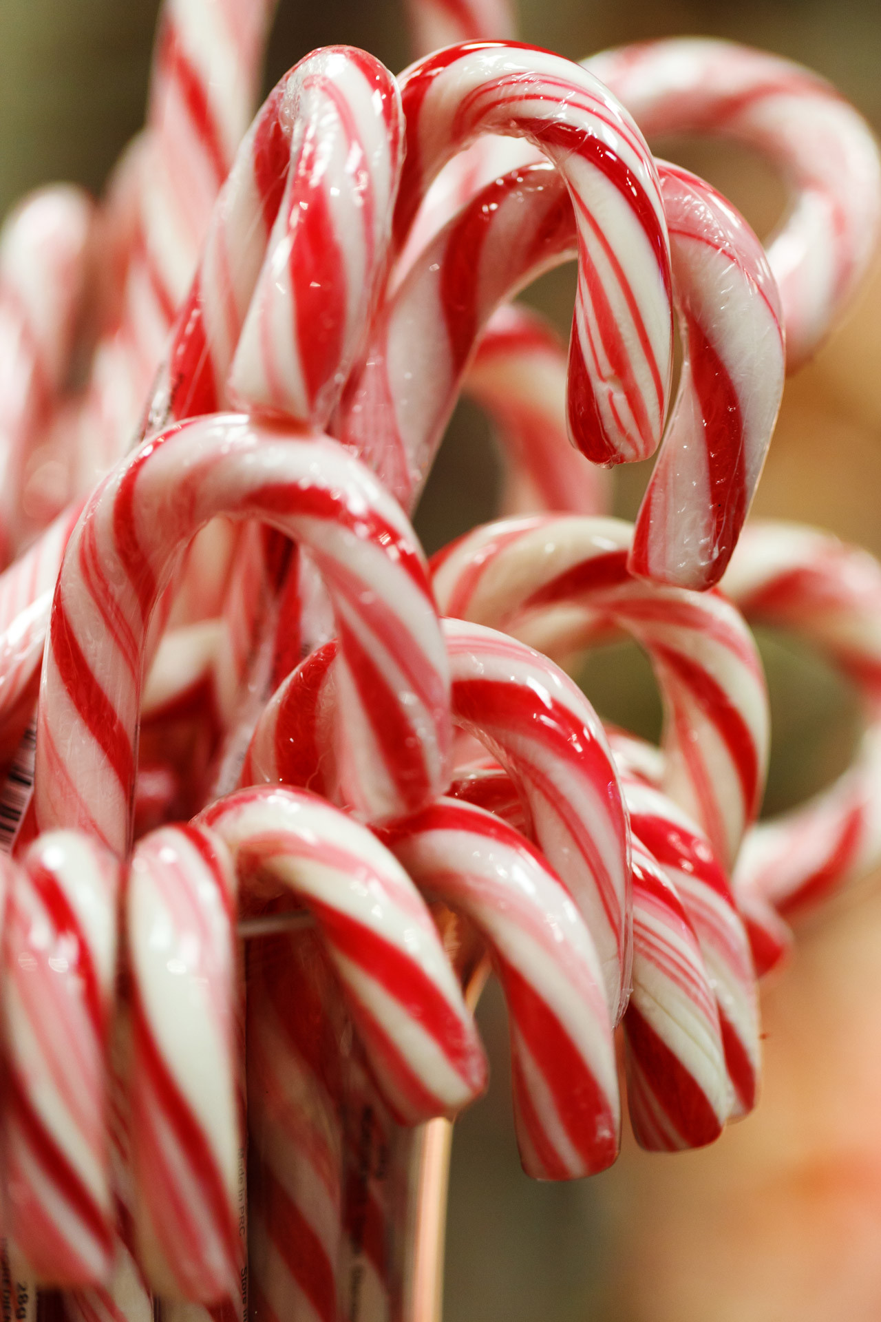 Christmas Candy Canes
 50 Things You NEED Your Before Christmas Bucket List