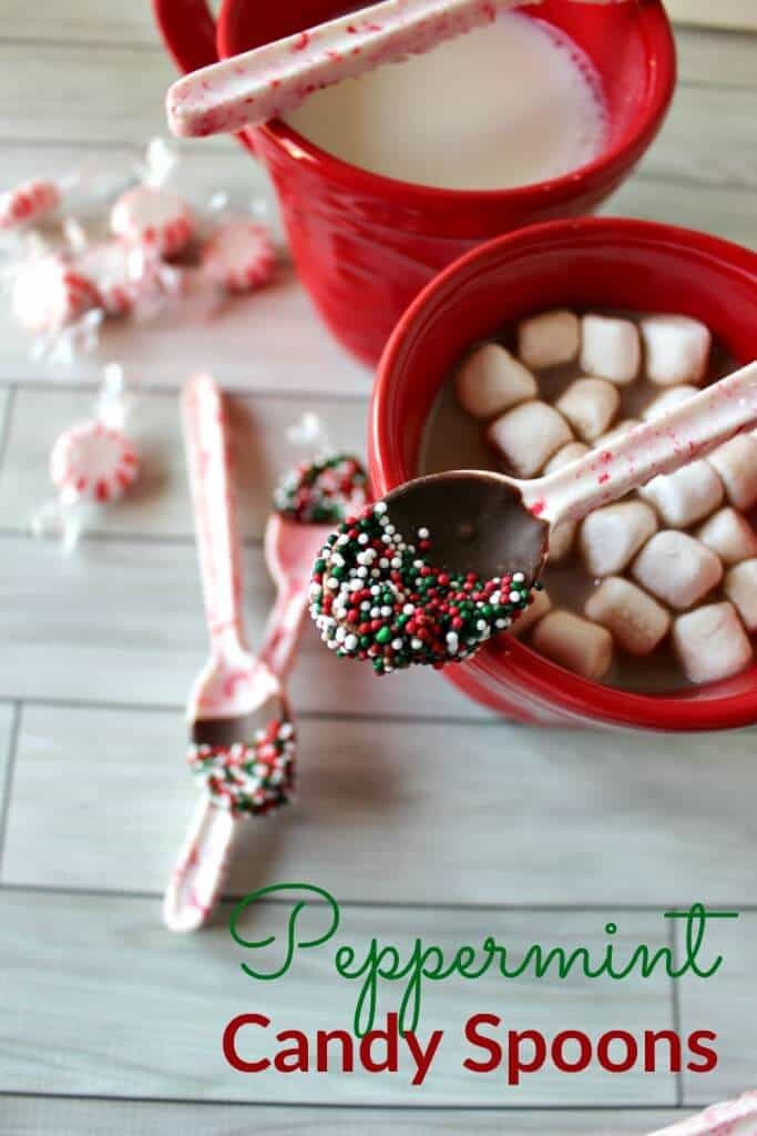 Christmas Candy Gift Ideas
 12 Homemade Christmas Candy Gifts [Easy] – Tip Junkie