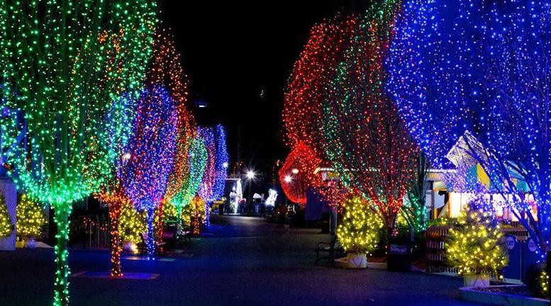 Christmas Candy Lane Hershey Park
 Hersheypark Christmas Candylane