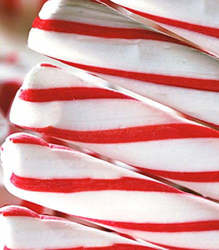 Christmas Candy Sticks
 Day 8 365 Old Fashioned Soft Peppermint Sticks Dipped in