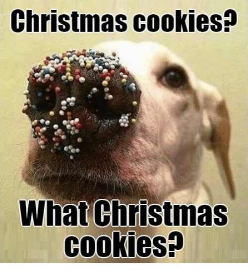 Christmas Cookies Meme
 2017