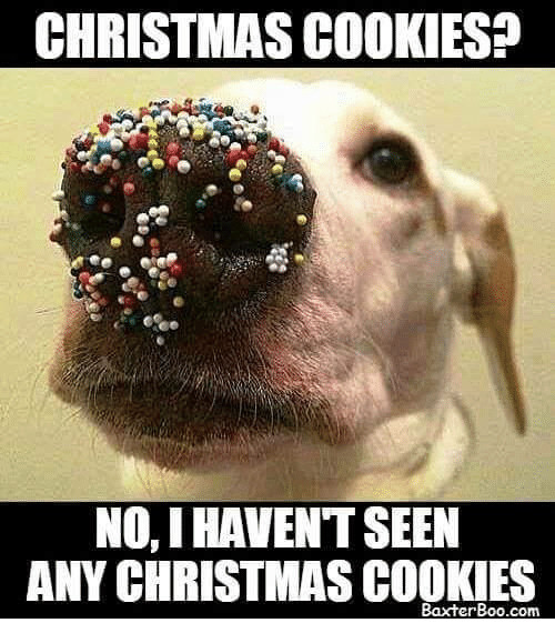 Christmas Cookies Meme
 Funny Christmas Memes of 2017 on SIZZLE