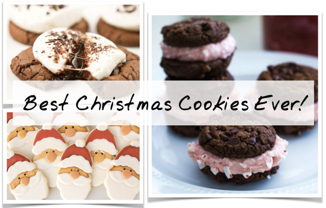 Christmas Cookies Recipes 2019
 11 Best Christmas Cookies 2019 Easy Recipes For