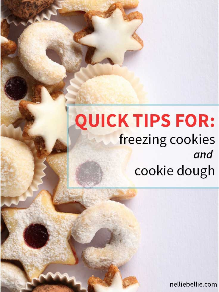 Christmas Cookies That Freeze Well
 Freezing Cookies Freezing Cookie Dough