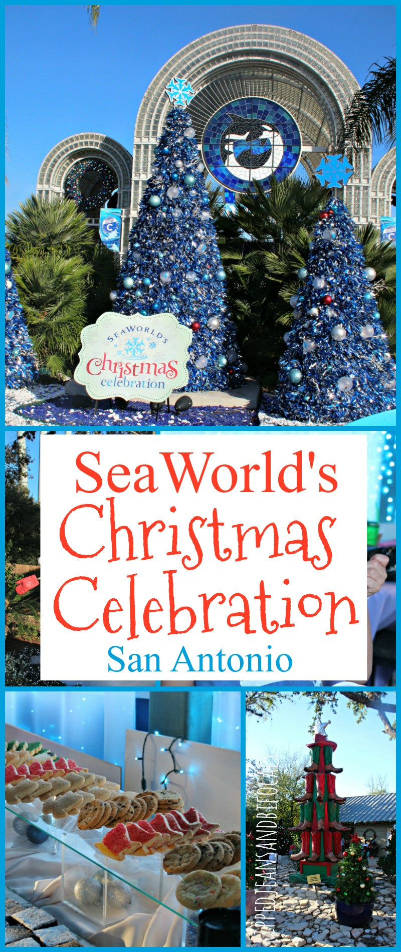 Christmas Dinner San Diego 2019
 SeaWorld s Christmas Celebration