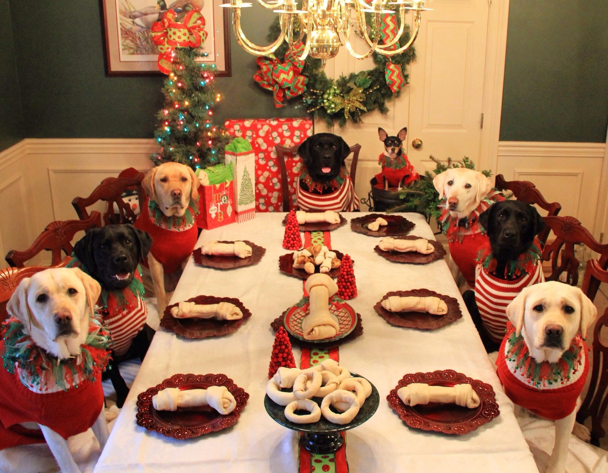 Christmas Dinners For Kids
 CHILDREN’S CHRISTMAS TABLE GONE TO THE DOGS