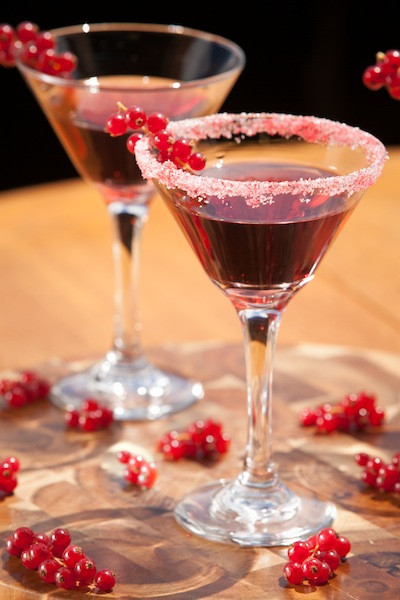 Christmas Drinks With Vodka
 Holiday Cocktails Recipes from Organic Ocean Vodka