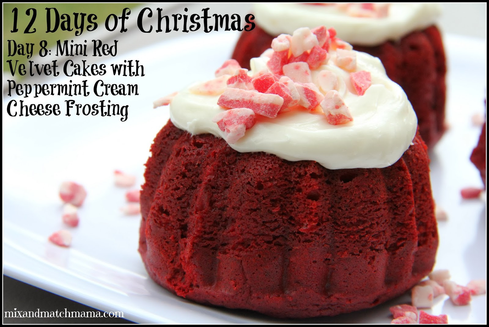 Christmas Mini Bundt Cakes
 the 8th Day of Christmas I made mini Red Velvet Cakes