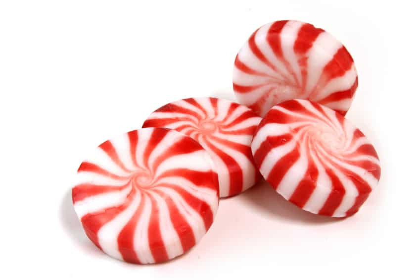 Christmas Mint Candy
 What is the worst type of candy AskReddit