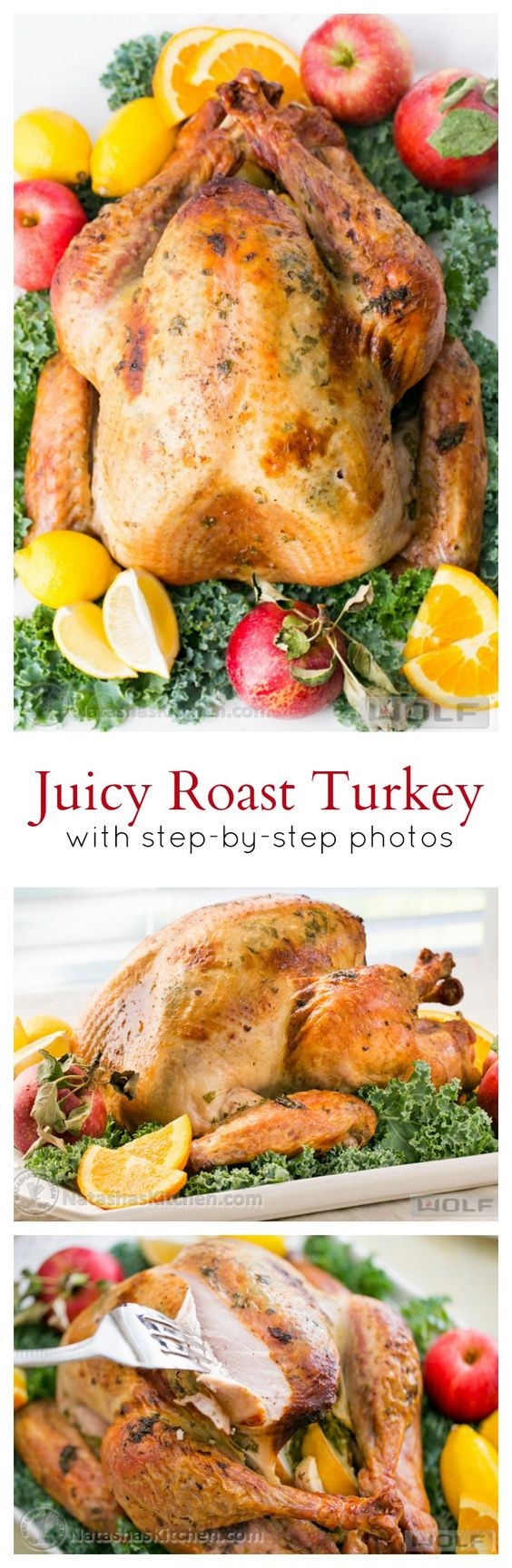 Classic Turkey Recipes Thanksgiving
 The BEST Thanksgiving Dinner Holiday Favorite Menu Recipes