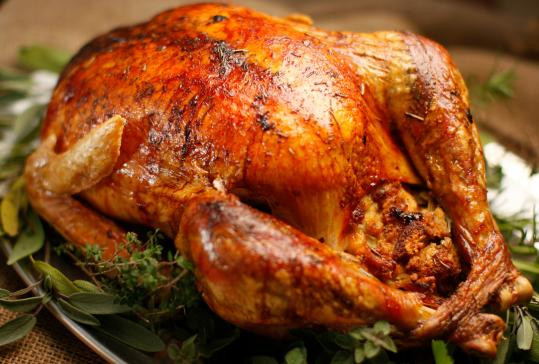 Cooked Thanksgiving Turkey
 Oven Roasted Turkey