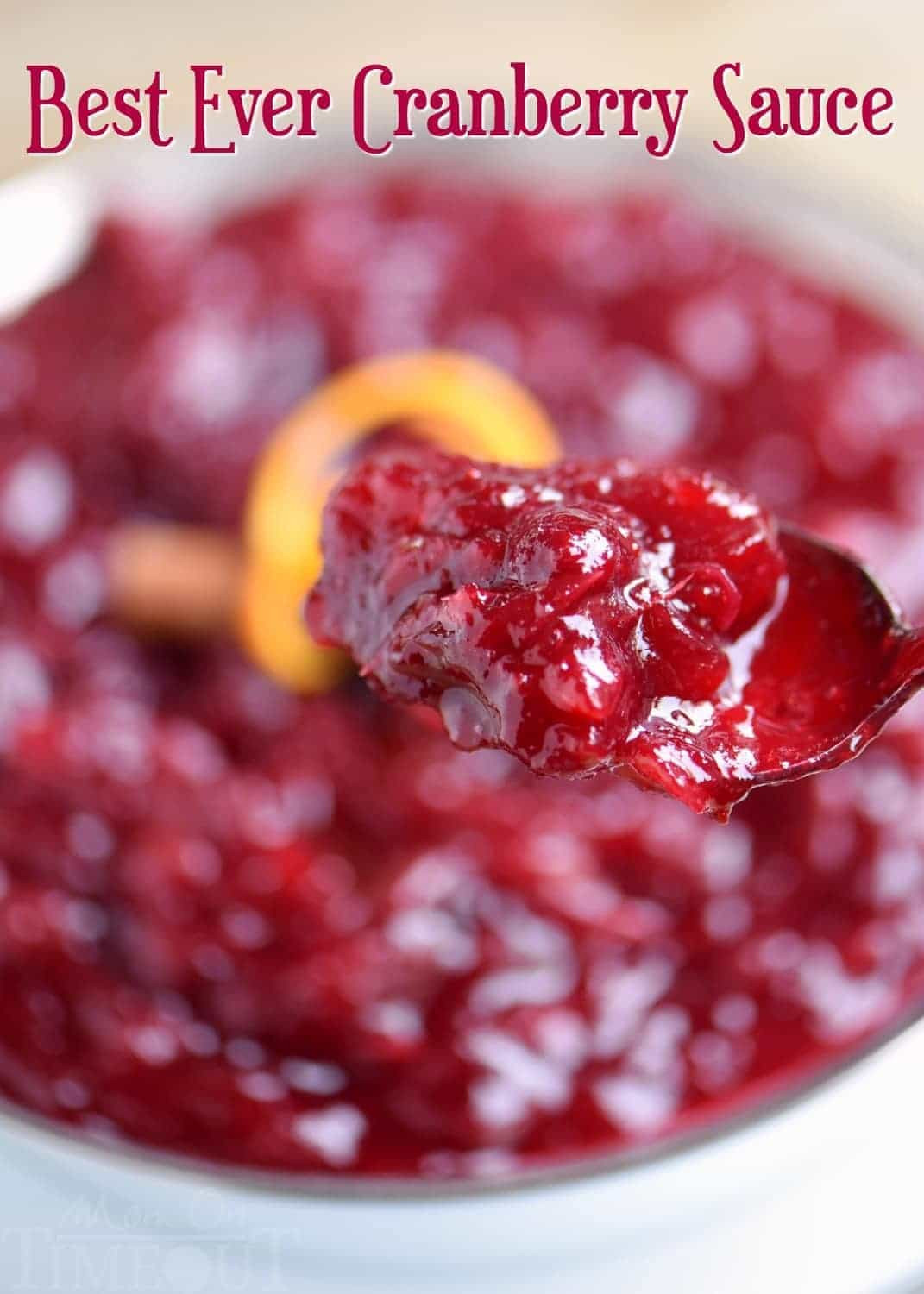 Cranberry Recipes For Thanksgiving
 Best Ever Cranberry Sauce Mom Timeout