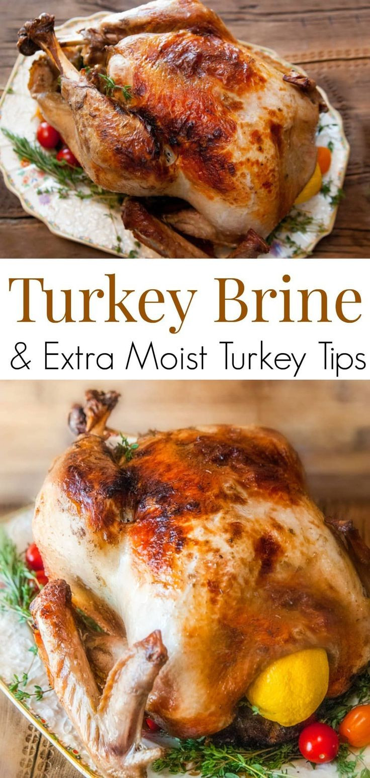 Delicious Turkey Recipes For Thanksgiving
 Best 25 White meat ideas on Pinterest
