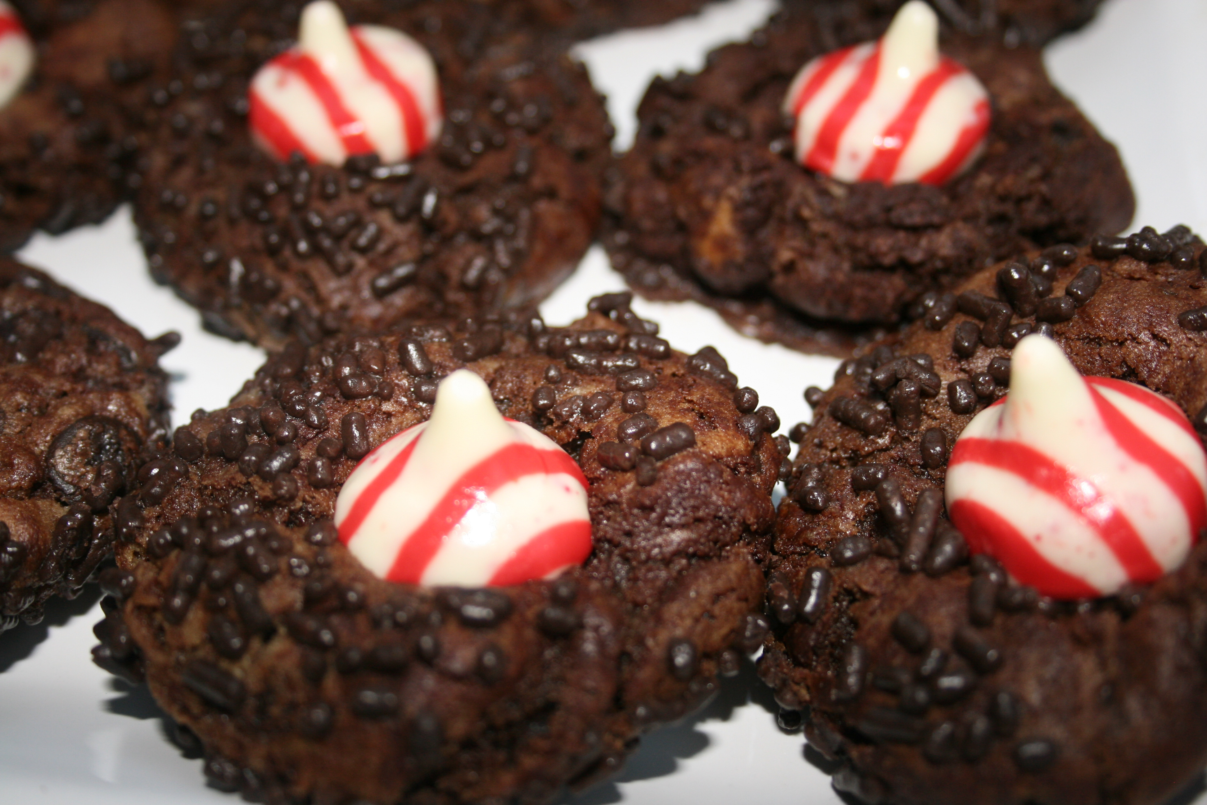 Easy Christmas Cookies And Candy
 Double Chocolate Chip Peppermint Cookie Recipes Archives