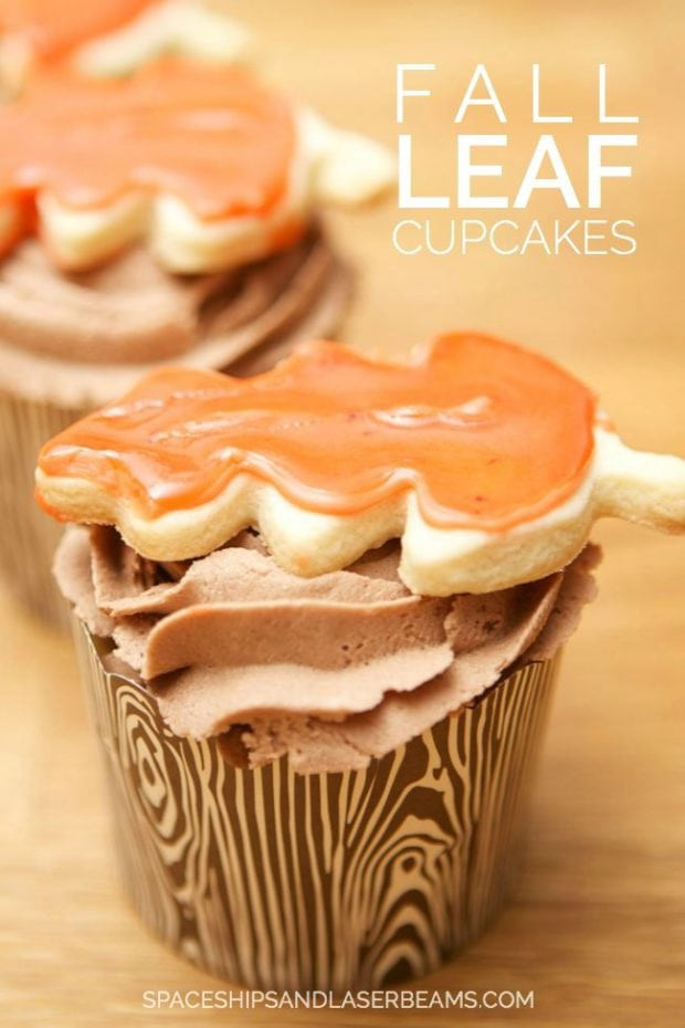 Fall Cupcakes Ideas
 Gearing Up for Fall Autumn Leaf Cupcakes Spaceships and